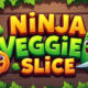 Ninja Veggie Slice Play Browser Games