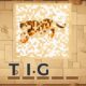PictureCipher Play Browser Games