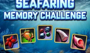 Seafaring Memory Challenge Play Browser Games