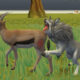 Wolf Life Simulator Play Browser Games