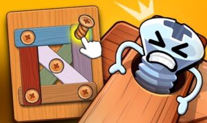 Wood Bolts Nuts Screw Pin Puzzle Play Browser Games
